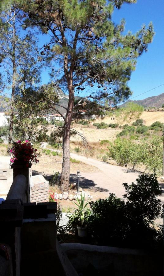 Casa Vacanza Il Mandorlo Domusnovas Eksteriør bilde